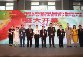 直面全球买家,共谋万亿市场!2020世界水果产业博览会重磅来袭