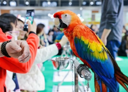 2025年3月28日至30日，鸿威·世界宠物博览会（南京展）将在南京国际博览中心的7、8、9号馆隆重举行