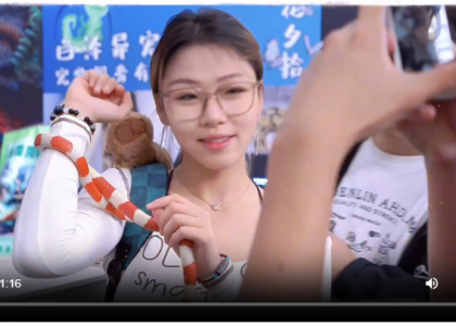 2025年世宠展宁波站的现场